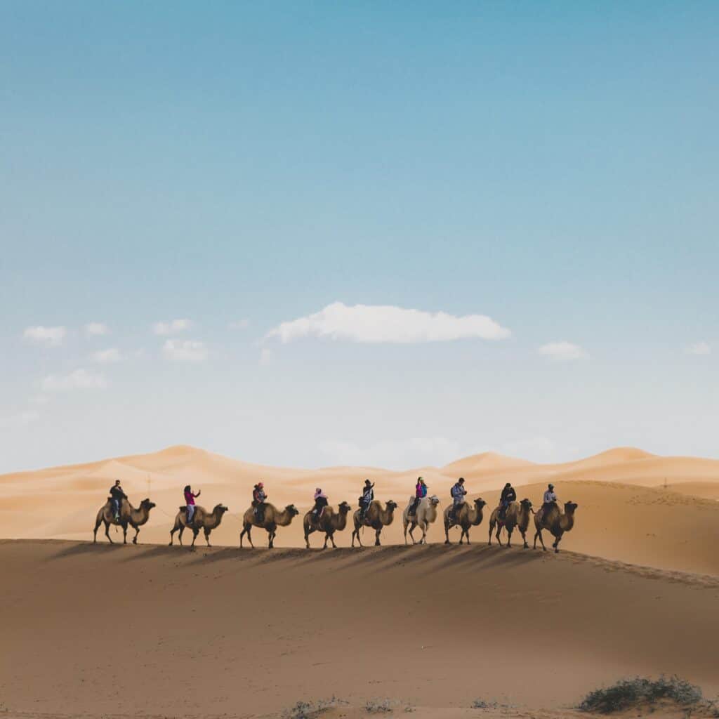 Vertical shot of people riding camels on a sand dune in the desert